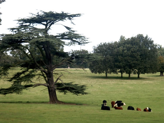 The Grounds at Althorp House