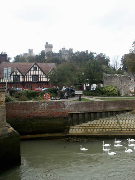 Swans on the River Arun