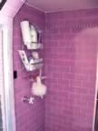 Shower.jpg (59kb)