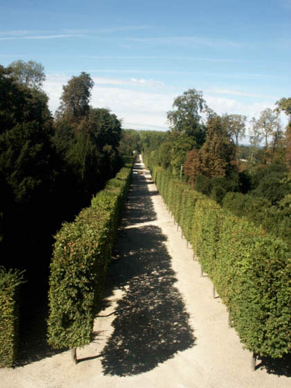 The Avenue leading to The Fountain of Bacchus