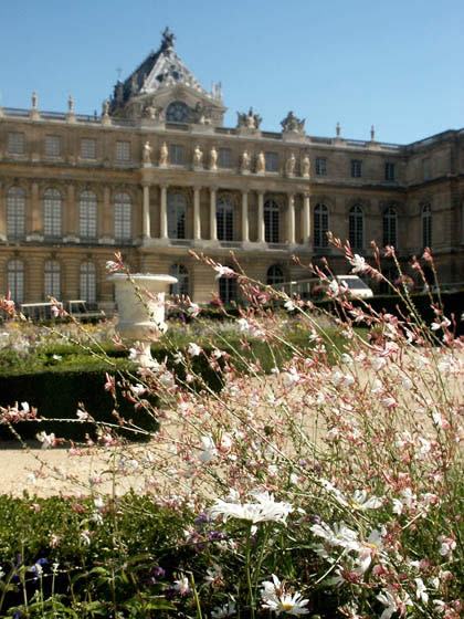 Flowers in The North Parterre